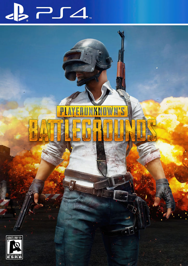 Premium 2010s Players Unknown Battlegrounds A4 Size Posters