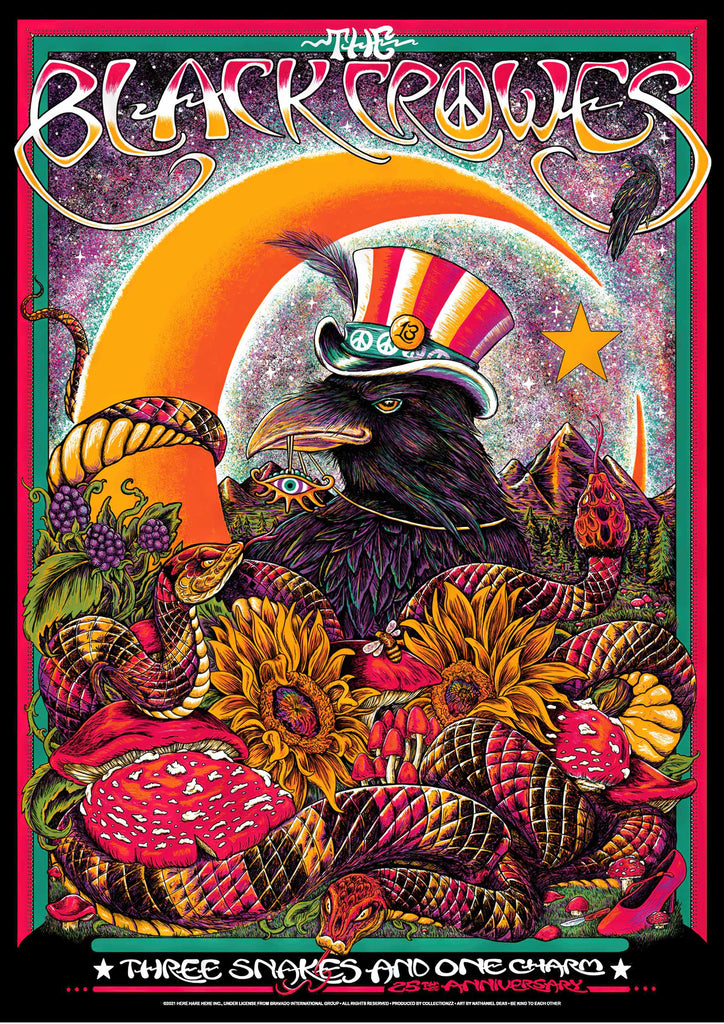 Premium Black Crowes 1 Vintage Gig A4 Size Posters