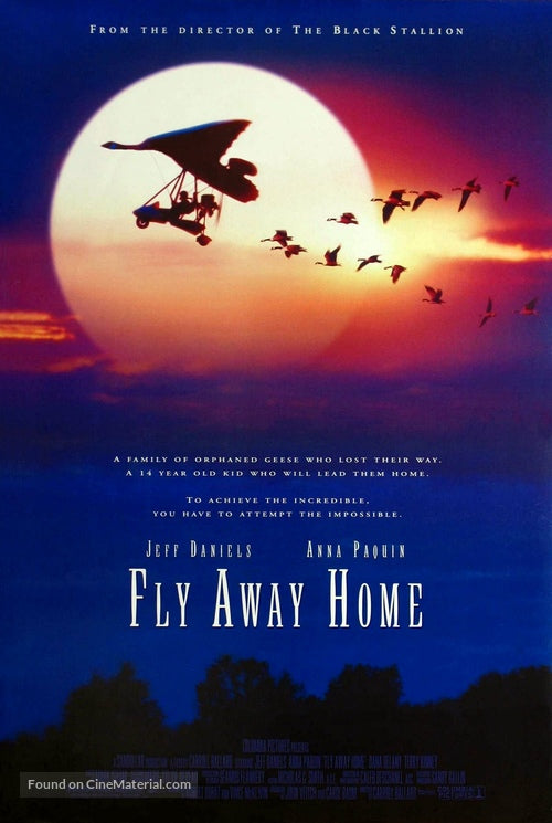 Pixie Posters Fly Away Home Movie Poster A2 Size