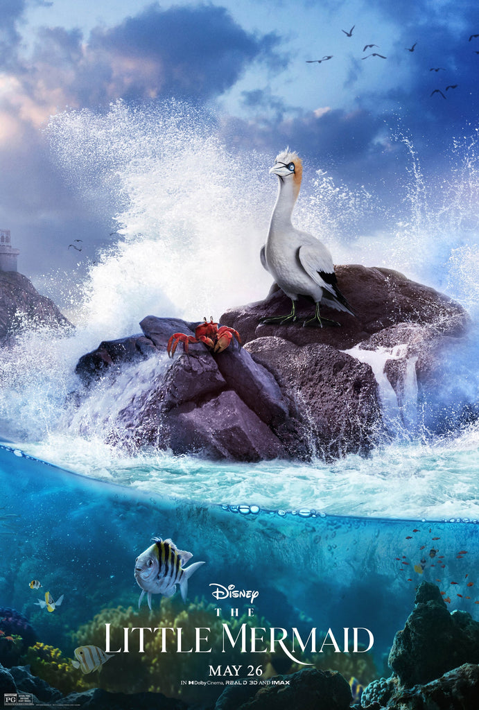 Premium The Little Mermaid Design 5 A2 Size Movie Poster