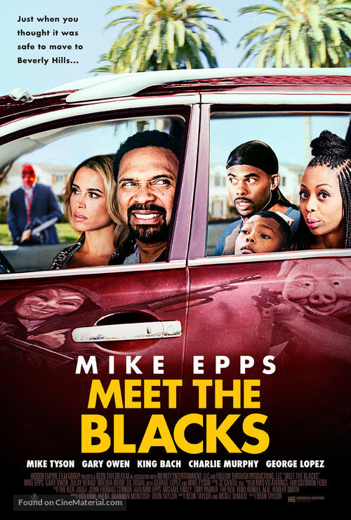 Pixie Posters Meet the Blacks Movie Poster A2 Size