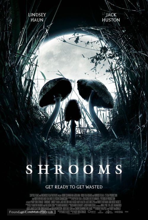 Pixie Posters Shrooms Movie Poster A2 Size