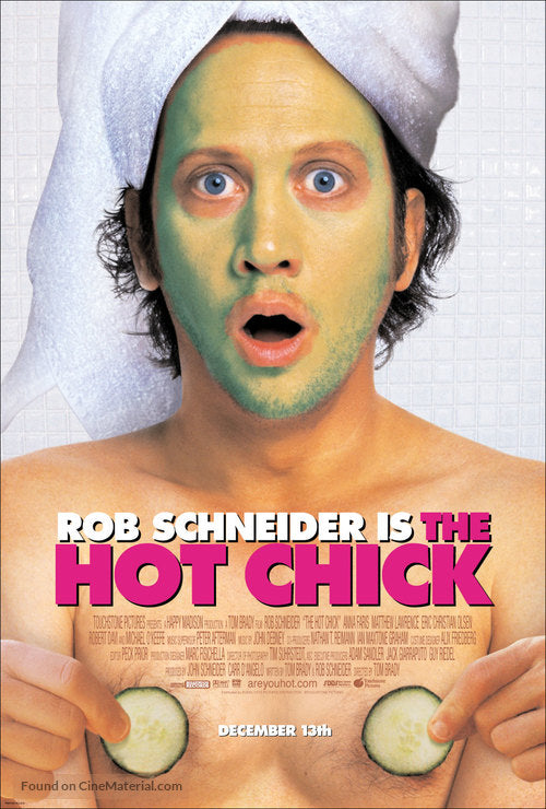 The Hot Chick A3 Movie Poster-Pixie Posters